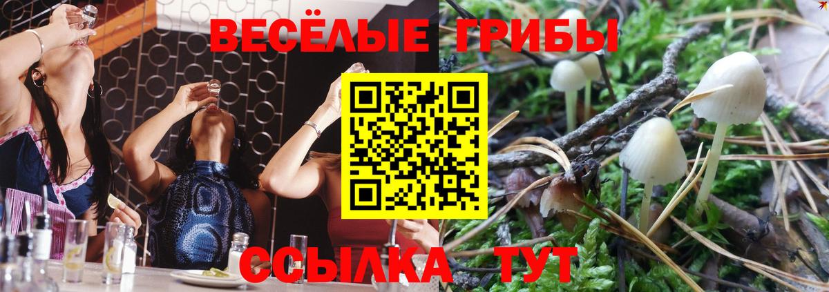 Псилоцибиновые грибы GOLDEN TEACHER  Вход с VPN  Ачинск 