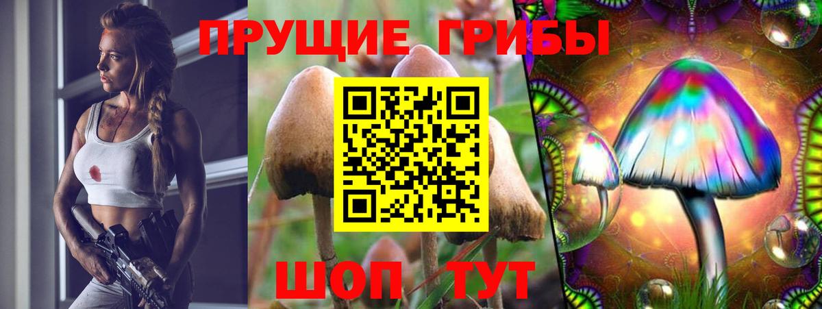 Псилоцибиновые грибы мицелий Ачинск